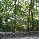 The Puddingstone Wall from a street view