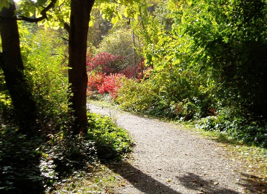 Botanical Survey 2005