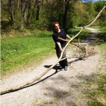 Young arborist helping with Boston Shines