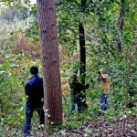 MIT Students Attack Invasives Along the Blackwell Path 3