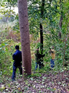 MIT Students Attack Invasives Along the Blackwell Path 3