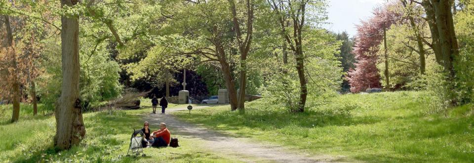 Enjoy the Bussey Brook Meadow