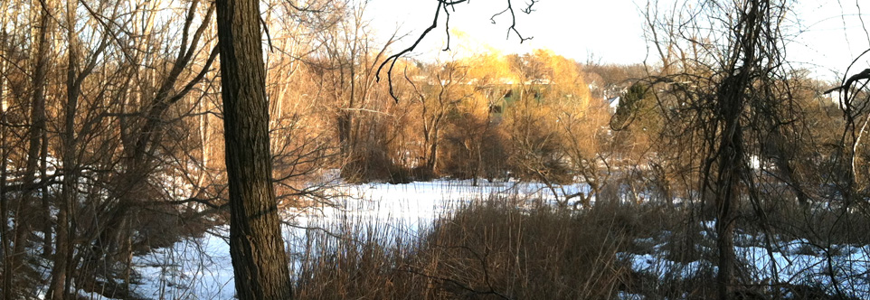 Winter Scene