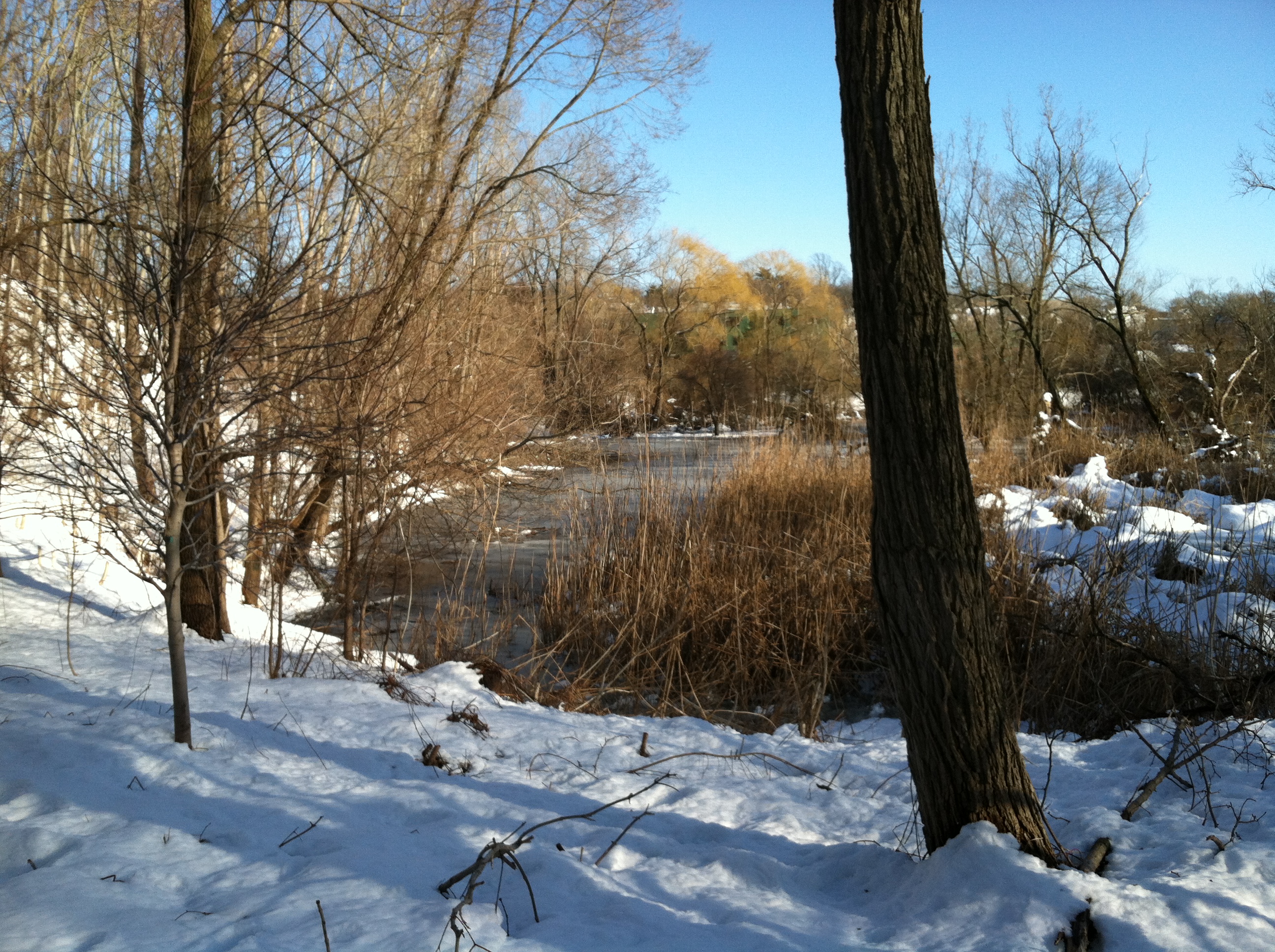 Winter Scene 2
