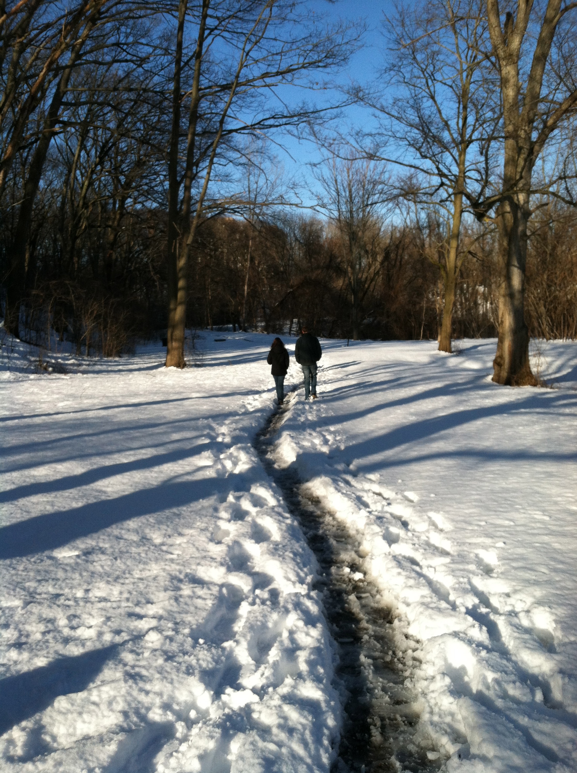 Winter Scene 1
