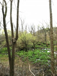 early April