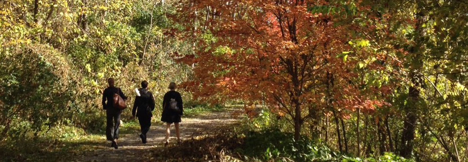 Bussey Brook Walkers